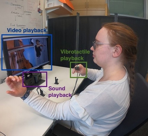 Vibrotactile Playback for Teaching Manual Skills from Expert Recordings